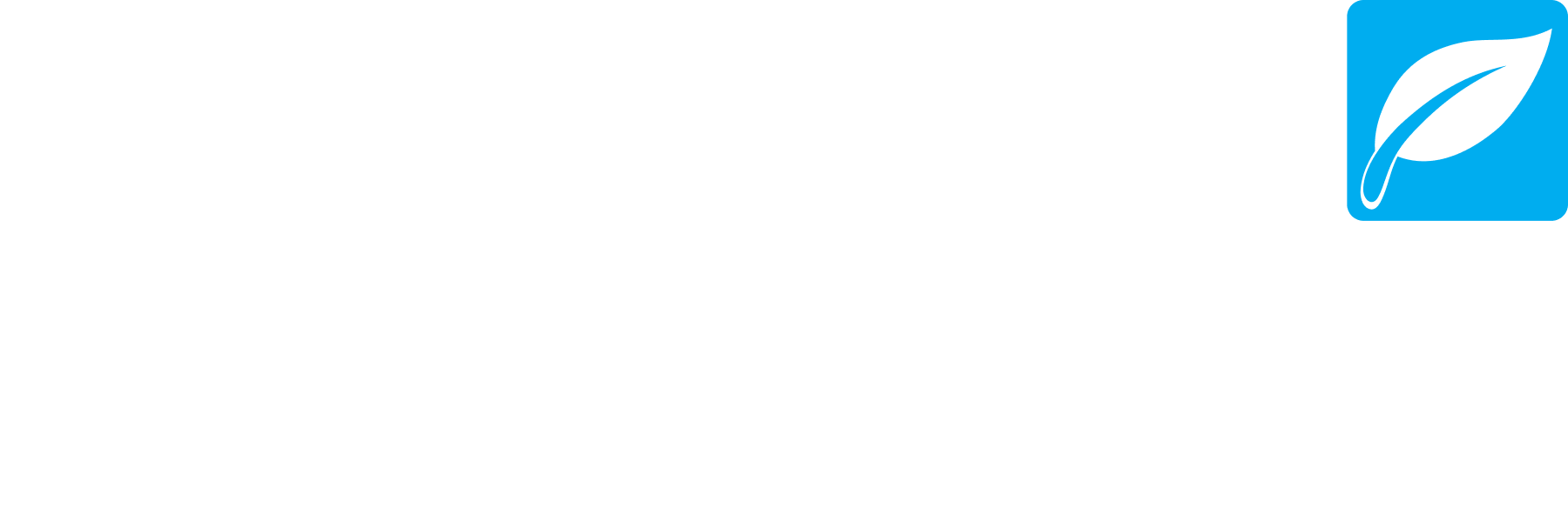 1600.png