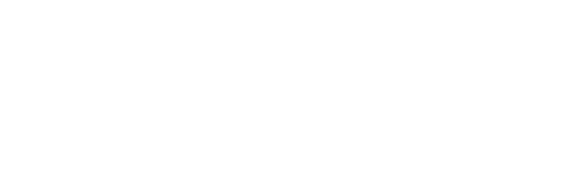 Wildeye Logo White Large.png